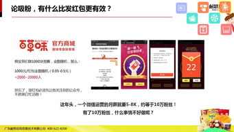 49页PPT详解 互联网食品营销解决方案的干货指南