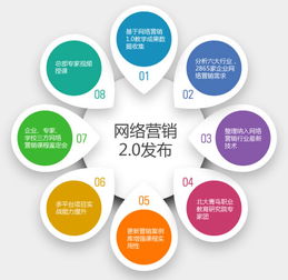 网络营销 数字时代的商业变革与策略应用